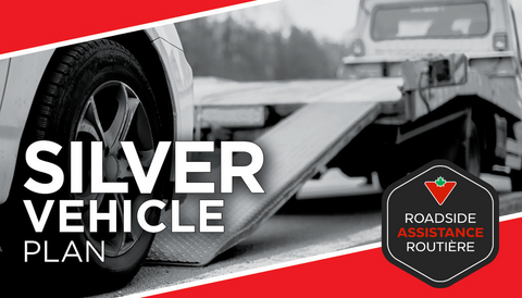 Silver Vehicle Plan