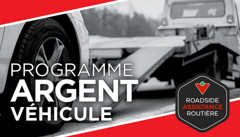 Programme de véhicule Argent